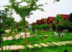 香草苑生態農莊 香草苑生態農莊