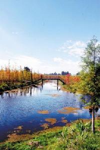 雲南晉寧南滇池國家濕地公園 雲南晉寧南滇池國家濕地公園