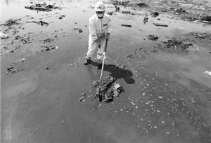 海洋放射性污染 海洋放射性污染