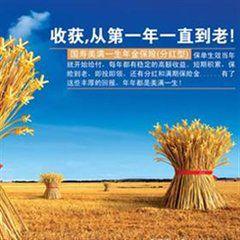 美滿一生年金保險 美滿一生年金保險