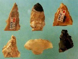 峙峪遺址 峙峪遺址