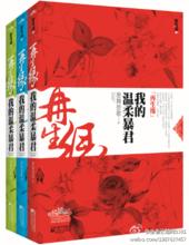 再生緣：我的溫柔暴君