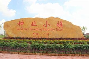 廣州種業小鎮 廣州種業小鎮