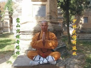 少林連環拳 少林連環拳