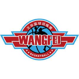 王非籃球訓練營 王非籃球訓練營