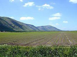 基利波山 基利波山