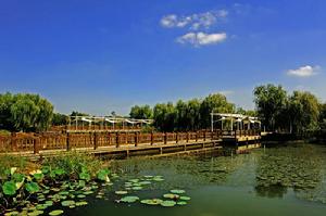 固城街道 固城街道