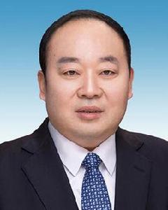 李平[安徽省人大常委會副主任，阜陽市委書記]