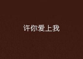 許你愛上我[小說許你愛上我]