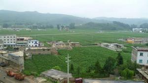 羊街鎮[威寧彝族回族苗族自治縣羊街鎮]