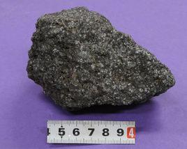 豆狀構造 豆狀構造