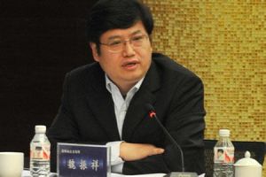 魏振祥[大連商品交易所副總經理]