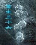 重生三十六 重生三十六