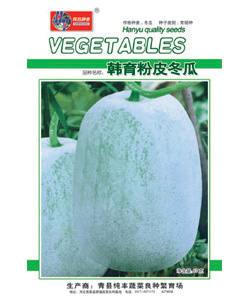 粉皮冬瓜文 粉皮冬瓜文