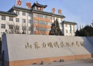 山東力明科技職業學院 山東力明科技職業學院
