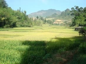 所得克自然村 所得克自然村