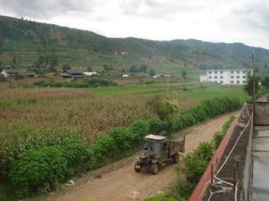 中村自然村 中村自然村