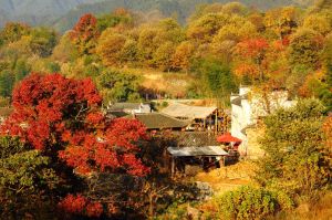 塔川秋色 塔川秋色