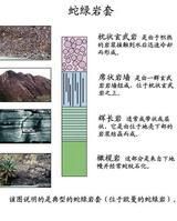 蛇綠岩套 蛇綠岩套