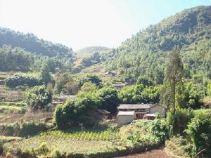 阿排自然村 阿排自然村