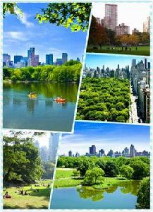 中央公園[紐約中央公園]