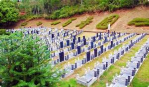 經營性公墓 經營性公墓