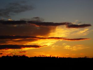 紅山少照 紅山少照