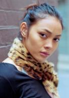 冬蔭功[巴猜平橋導演的動作片]