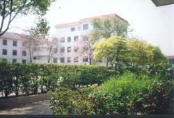 上海市長青中學 上海市長青中學