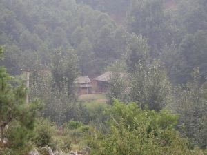 高坪村[雲南會澤縣魯納鄉下轄村]