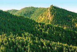內蒙古賀蘭山國家森林公園 內蒙古賀蘭山國家森林公園