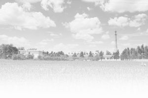 中國科學院奈曼沙漠化研究站 中國科學院奈曼沙漠化研究站