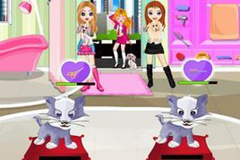 經營寵物美容店 經營寵物美容店