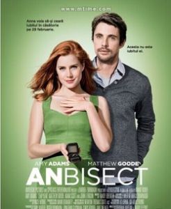 閏年[2010年上映的美國電影]