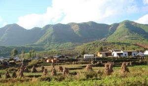 下陳基卡自然村