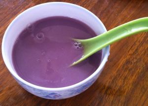 紫薯牛奶豆漿 紫薯牛奶豆漿