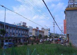 竹園鎮[雲南省富源縣竹園鎮]