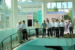 南寧南風廠幼稚園 南寧南風廠幼稚園