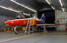 瑞士的“鷹”66