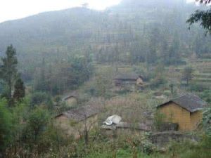 藤條箐村 藤條箐村