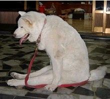 搞笑圖片 搞笑圖片