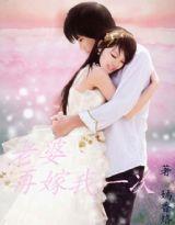 老婆，再嫁我一次[嫣香烙的網路小說]