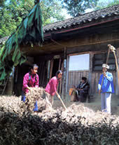 同穿“情人鞋” 同穿“情人鞋”