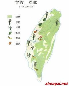 台灣農業