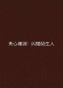 夫心難測:閃婚陌生人 夫心難測:閃婚陌生人