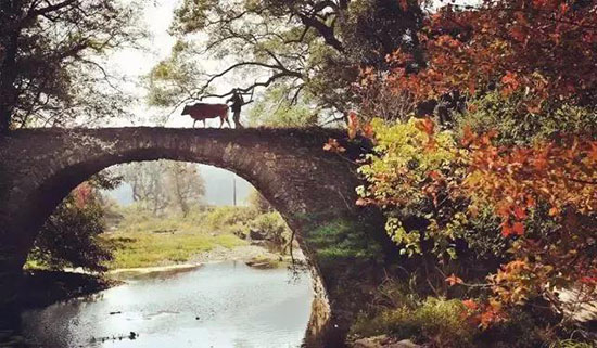 10月,把時間留給婺源。
