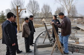 保亭黎族苗族自治縣非物質文化遺產保護條例 保亭黎族苗族自治縣非物質文化遺產保護條例