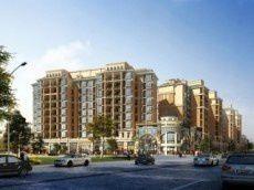 劍橋小鎮 劍橋小鎮