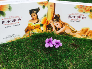 玉女康丹 玉女康丹