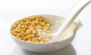 白茅根豆漿飲 白茅根豆漿飲